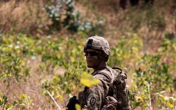 1-27 IN BN Wolfhounds conduct platoon Live-Fire Exercises at Garuda Shield 19