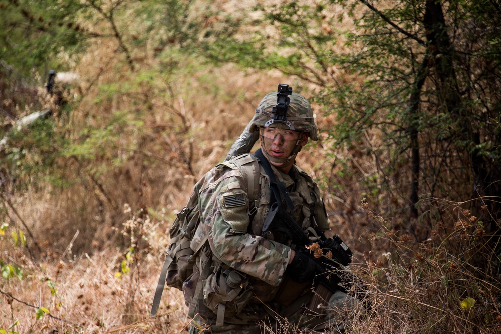 1-27 IN BN Wolfhounds conduct platoon Live-Fire Exercises at Garuda Shield 19