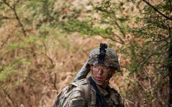 1-27 IN BN Wolfhounds conduct platoon Live-Fire Exercises at Garuda Shield 19