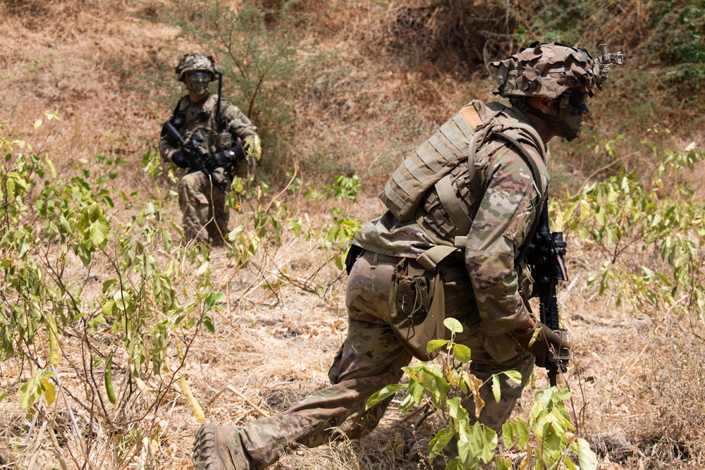 1-27 IN BN Wolfhounds conduct platoon Live-Fire Exercises at Garuda Shield 19