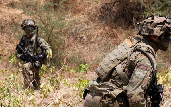 1-27 IN BN Wolfhounds conduct platoon Live-Fire Exercises at Garuda Shield 19