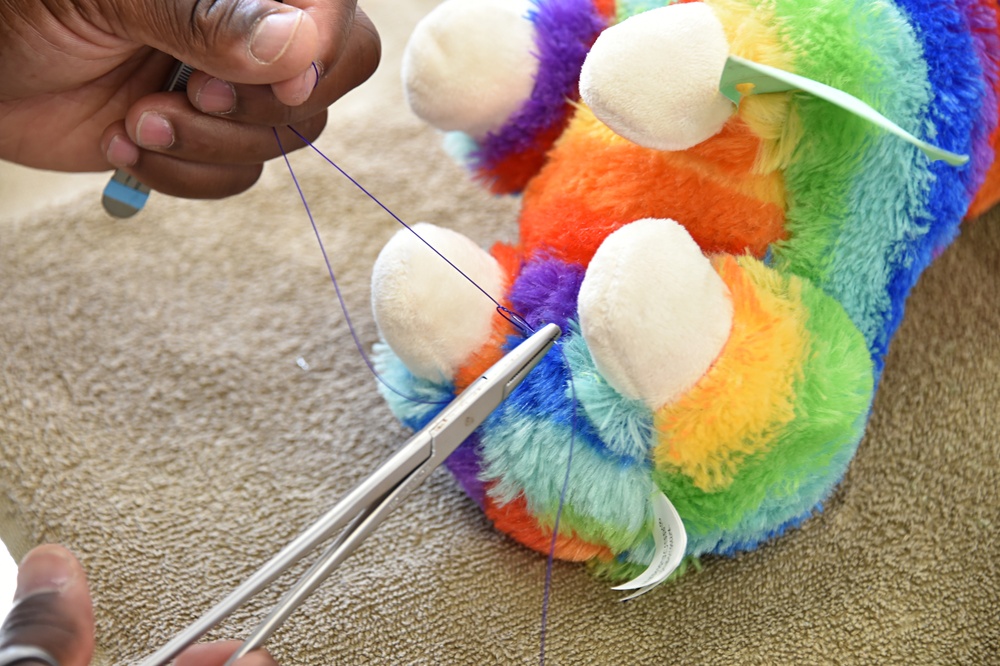 Vilseck Veterinary Treatment Facility, Bavaria Branch, Teddy Bear Suture Clinic