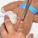Vilseck Veterinary Treatment Facility, Bavaria Branch, Teddy Bear Suture Clinic