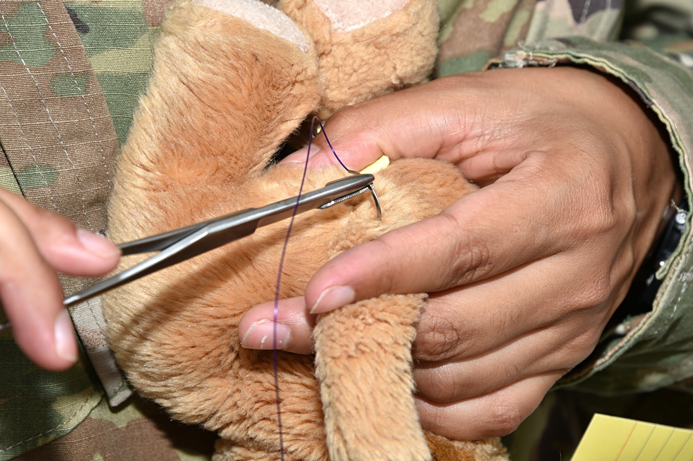 Vilseck Veterinary Treatment Facility, Bavaria Branch, Teddy Bear Suture Clinic