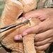 Vilseck Veterinary Treatment Facility, Bavaria Branch, Teddy Bear Suture Clinic