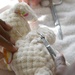 Vilseck Veterinary Treatment Facility, Bavaria Branch, Teddy Bear Suture Clinic