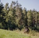 U.S. Army paratrooper screens lane for enemy movement