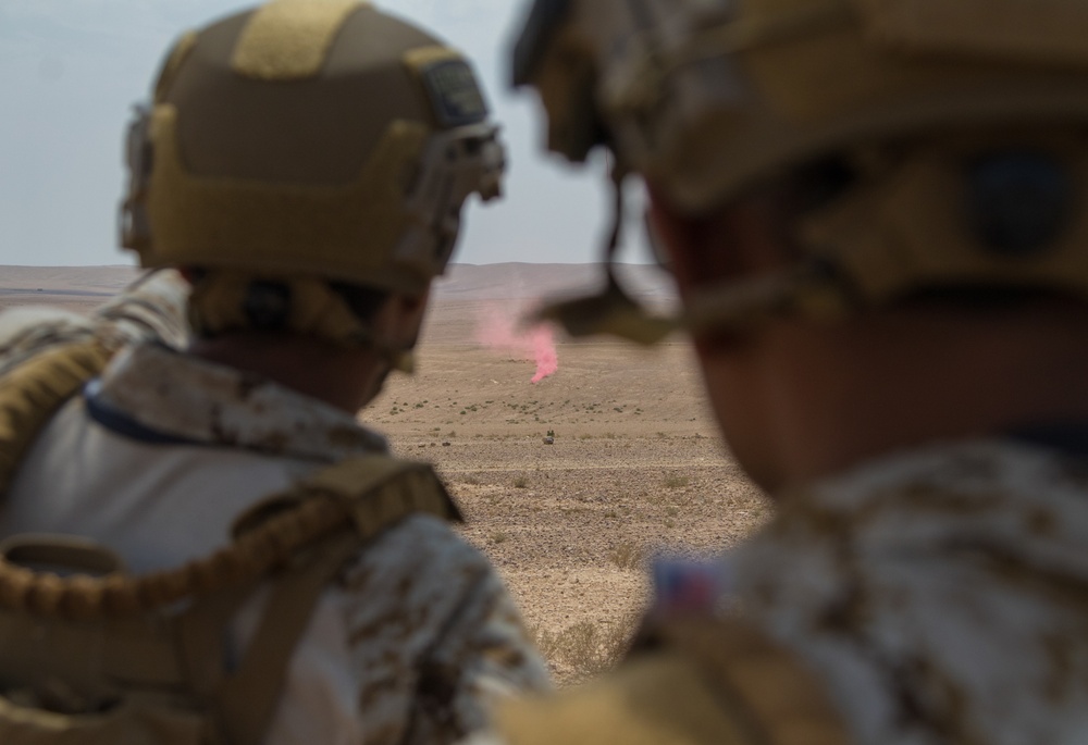 Exercise Eager Lion 2019: Joint forces live-fire range