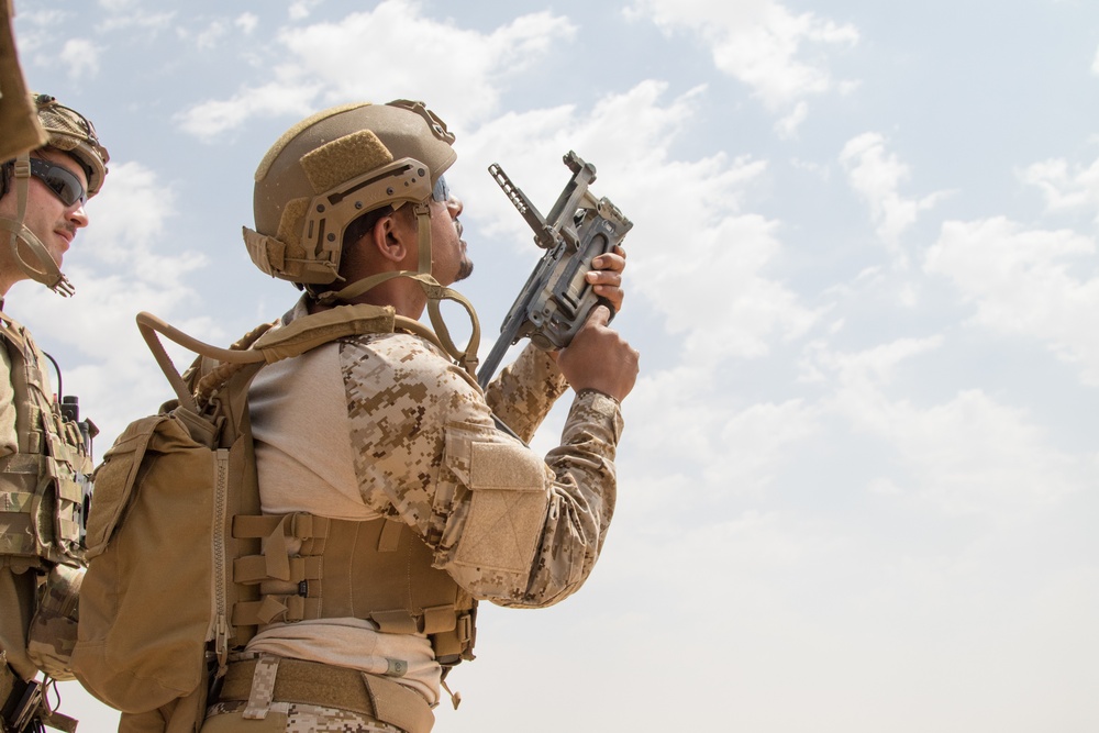 Exercise Eager Lion 2019: Joint forces live-fire range