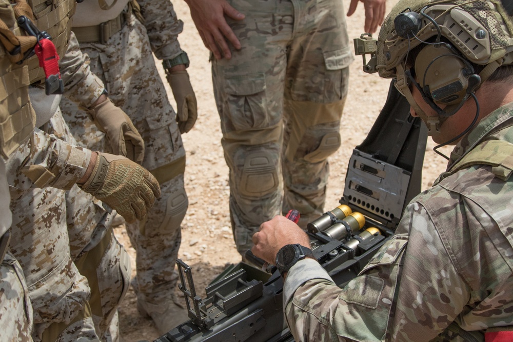 Exercise Eager Lion 2019: Joint forces live-fire range