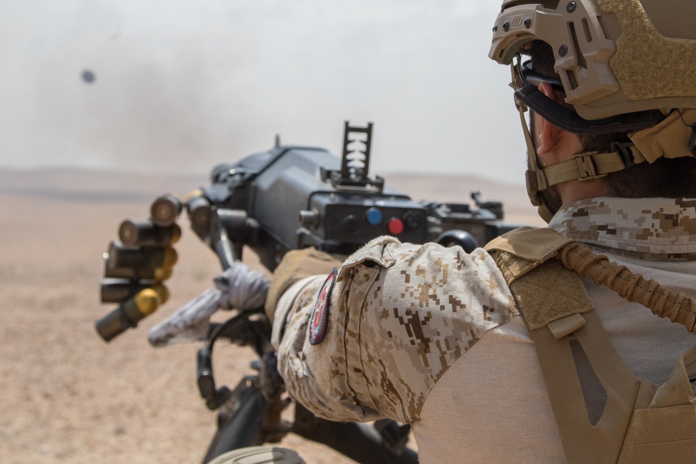 Exercise Eager Lion 2019: Joint forces live-fire range