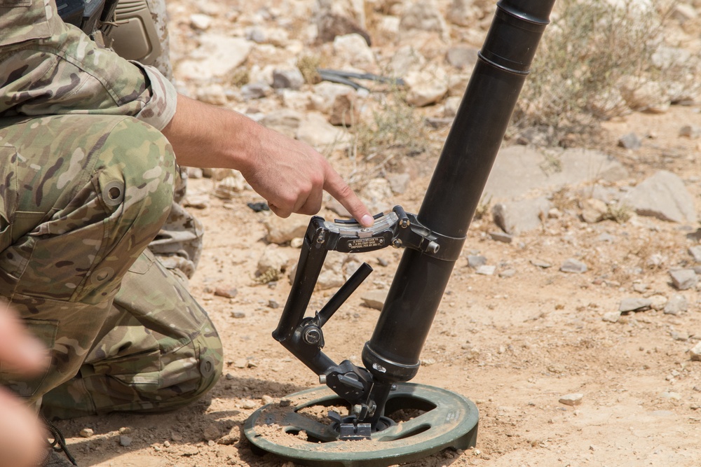 Exercise Eager Lion 2019: Joint forces live-fire range