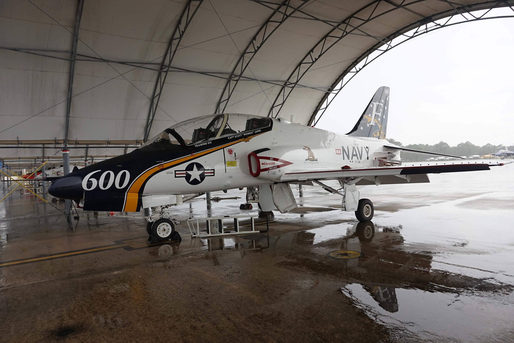 163650 T-45C VT-86/TAW-6 F-600, NAS Pensacola 2019 Airshow
