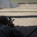 SPMAGTF-CR-AF snipers hone in on shot grouping proficiency