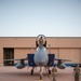 F-15Cs forward deploy in Exercise Hype Eagle