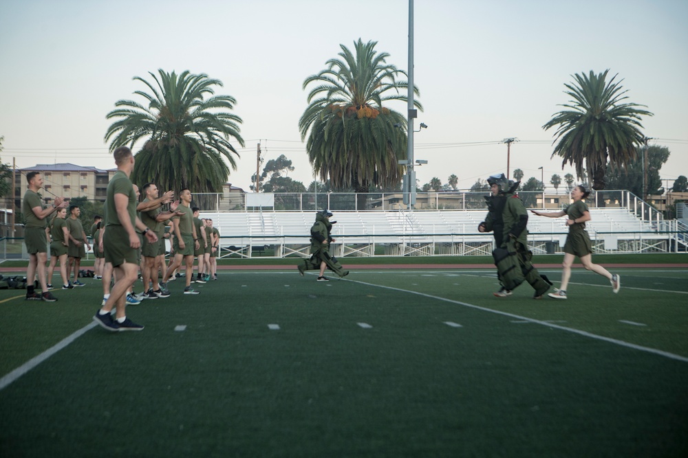 Pendleton Marines conduct morning PT