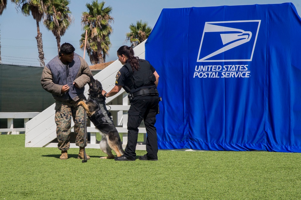 Camp Pendleton, USPS unveil new military working dog stamps