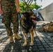 Los Angeles Fleet Week 2019: Military Working Dogs