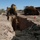 Task Force Barrier - Yuma