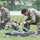 Soldiers Train to Become Special Forces Communications Sergeants