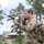 Soldiers Train to Become Special Forces Communications Sergeants