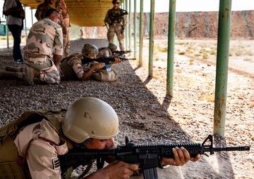 Training Team Whiskey - Basic Marksmanship with SINCO II