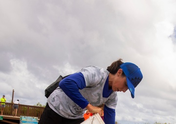 Cleaning Up the Beach Do-Do-Do-Do