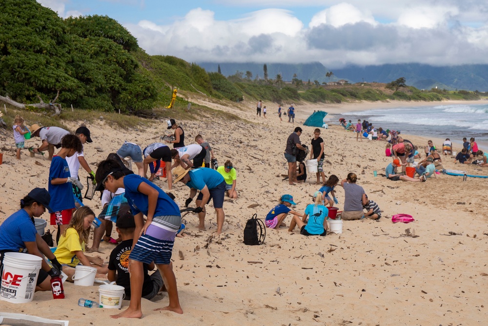 Cleaning Up the Beach Do-Do-Do-Do