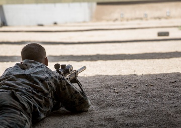 Marines participate in a stress shoot range