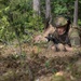 Lithuanian Land Forces Best Infantry Squad Competition