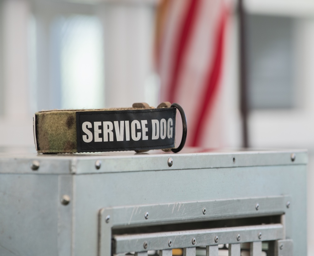 Barksdale Military Work Dogs retire