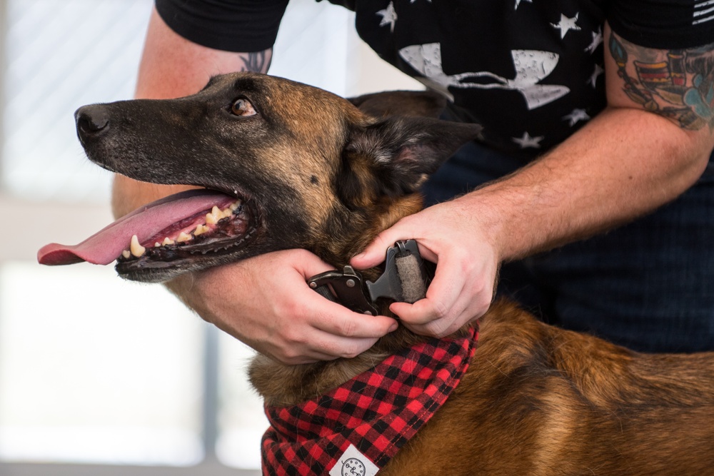 Barksdale Military Work Dogs retire
