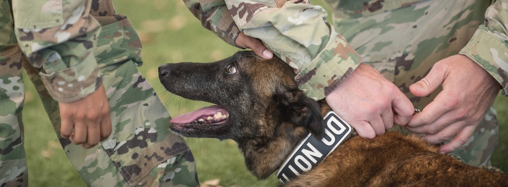 Barksdale Military Work Dogs retire