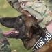 Barksdale Military Work Dogs retire