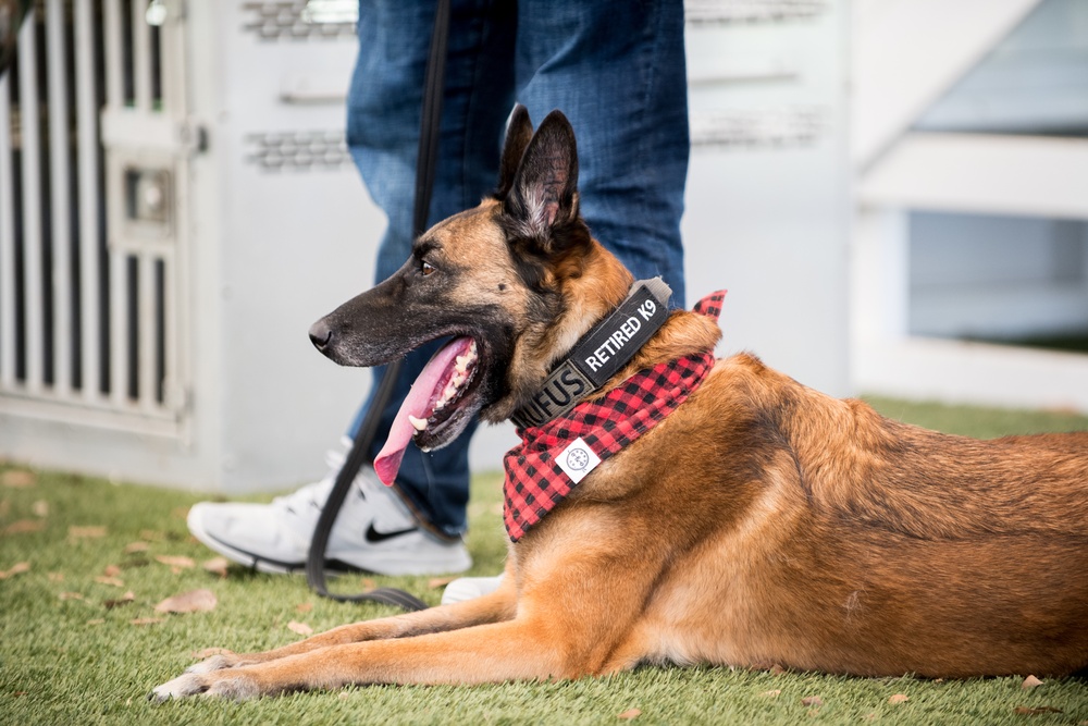 Barksdale Military Work Dogs retire