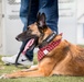 Barksdale Military Work Dogs retire
