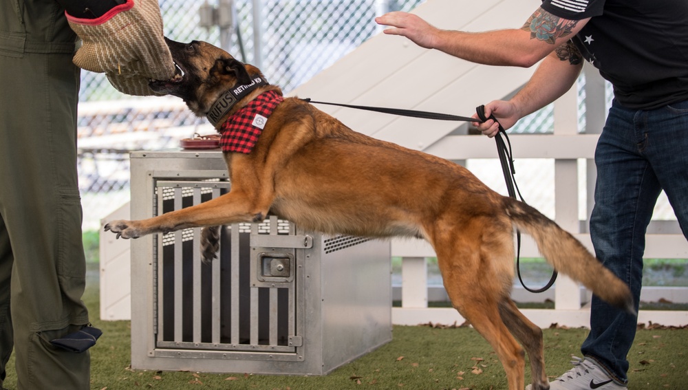 Barksdale Military Work Dogs retire