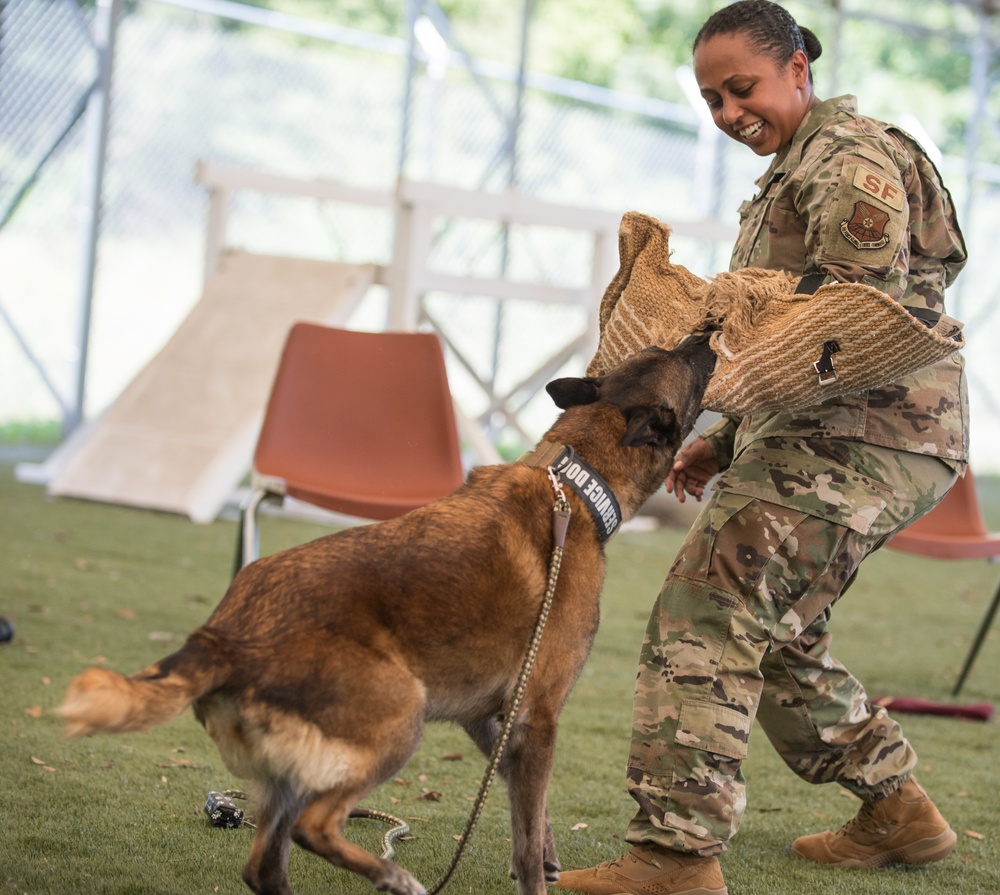 Barksdale Military Work Dogs retire