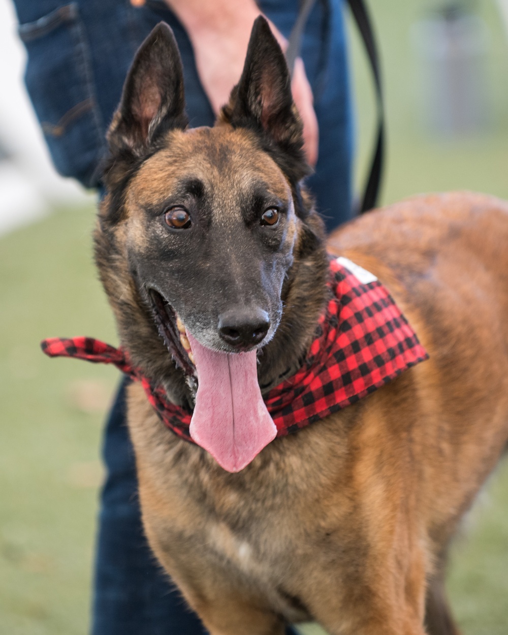 Barksdale Military Work Dogs retire