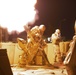 Marines supporting OIR fire mortars during training