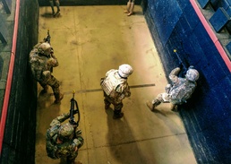 Illinois Guardsmen break barriers as team sport at Rising Thunder