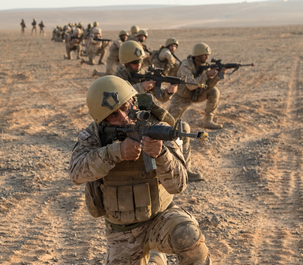 Multinational partners execute coalition STX during EL19