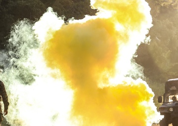 U.S. Army Special Forces partner with Screaming Eagles for raid, reconnaissance exercise