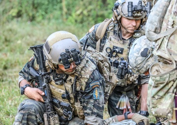 U.S. Army Special Forces partner with Screaming Eagles for raid, reconnaissance exercise