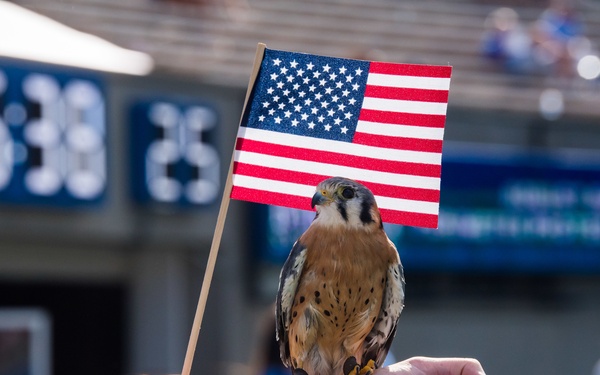 U.S. Air Force Academy Football vs. Colgate 2019