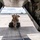 DoD Responds to The Bahamas
