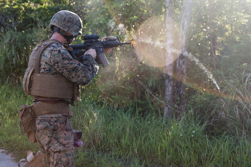 U.S. Marines with 3rd LE Bn.  undergo field training during their Marine Corps Combat Readiness Evaluation