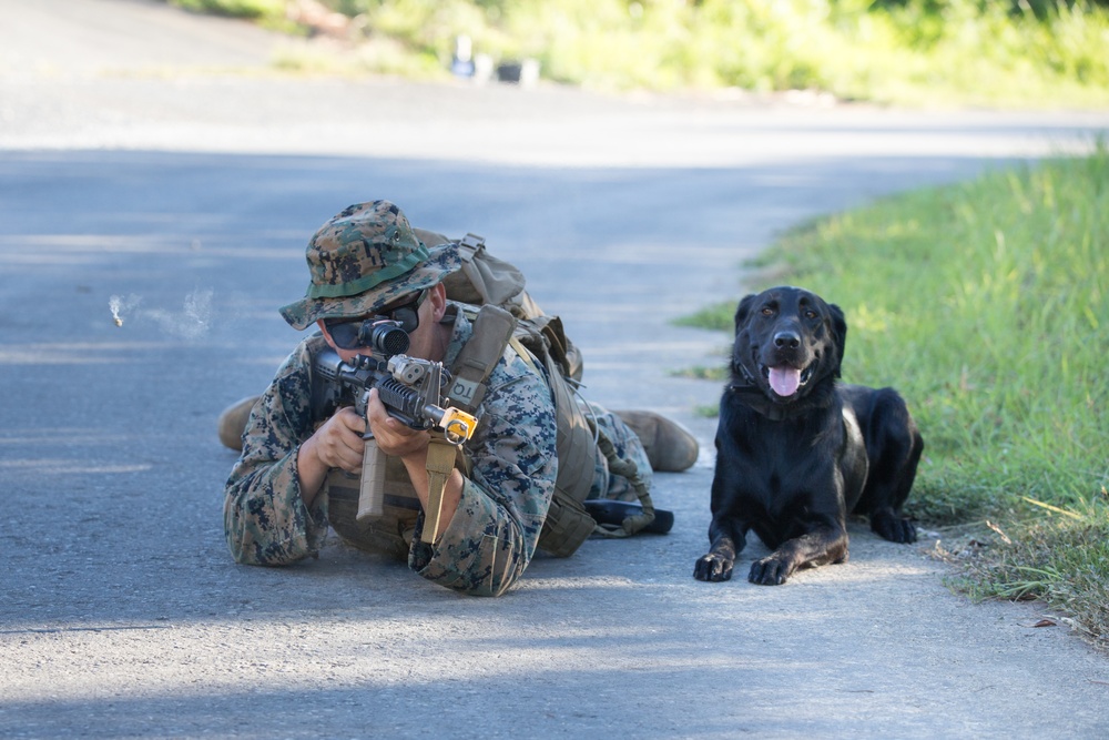 U.S. Marines with 3rd LE Bn. undergo field training during their Marine Corps Combat Readiness Evaluation