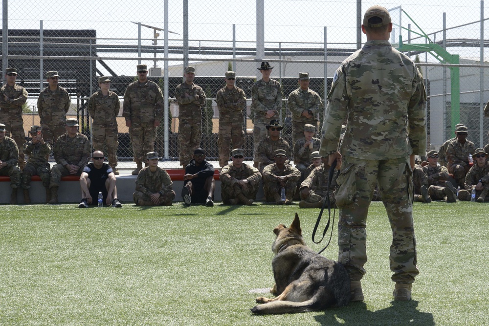 DVIDS Images 332 ESFS K9 handlers show Army ‘bite for the fight’ [Image 1 of 3]