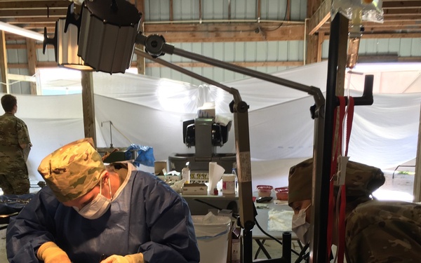 Veterinarian Care at Appalachian Cares 2019 IRT